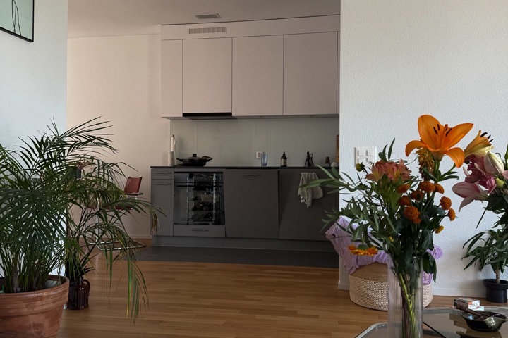 Beautiful apartment close to Lucerne & mountains - 1