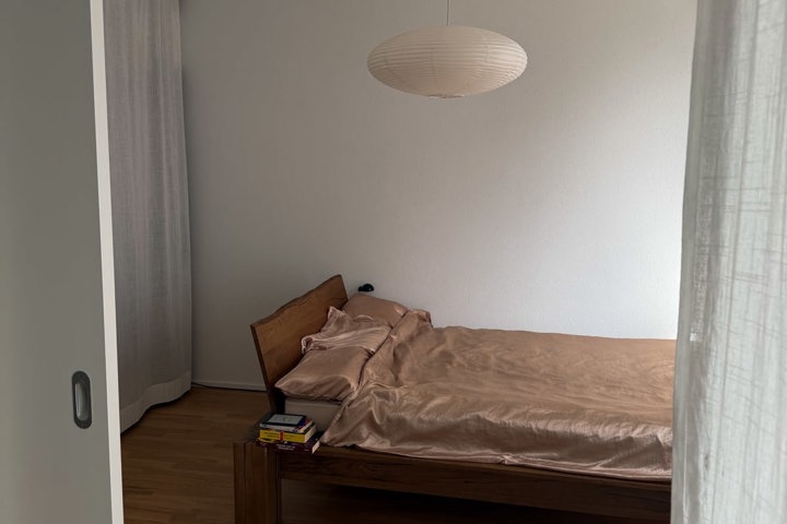 Beautiful apartment close to Lucerne & mountains - 3