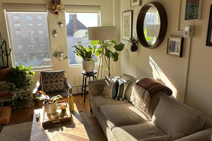 Bright, airy apartment in Park Slope, Brooklyn - 3