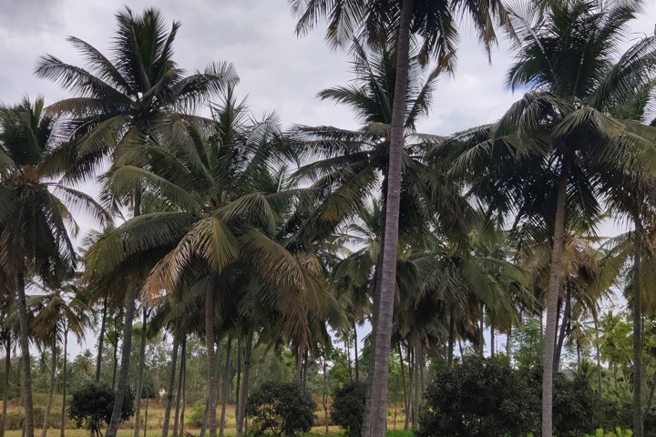 Jenugudu Farmstay - 2