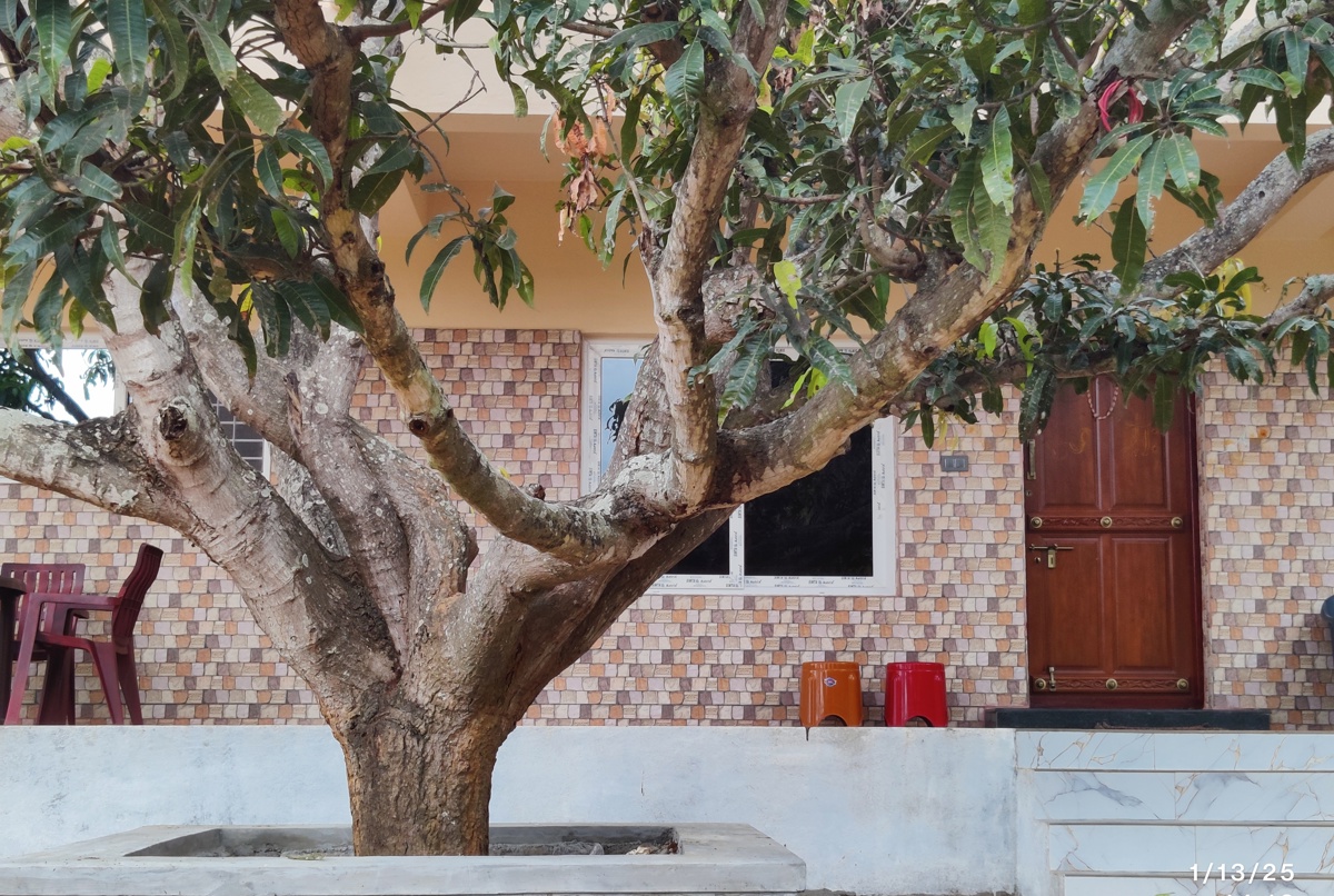 Jenugudu Farmstay