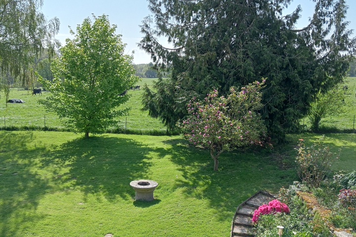 Nice house in a quiet but dynamic environment - 6