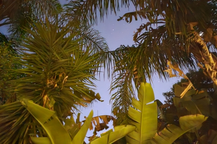 Tranquil escape with easy access to city - 8