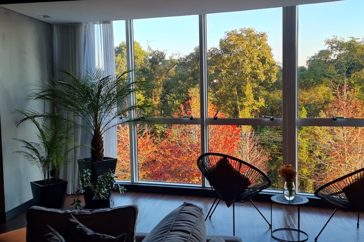 A window to catch your eyes and open possibilities - 1