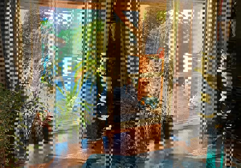 home swap in Nová Ves, Czech Republic