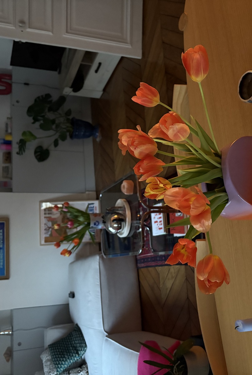 Paris Appartment