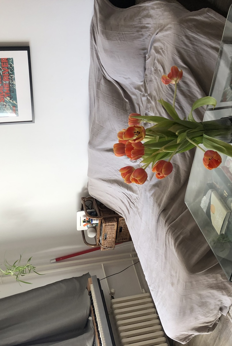 Cozy Studio Flat in Kreuzberg