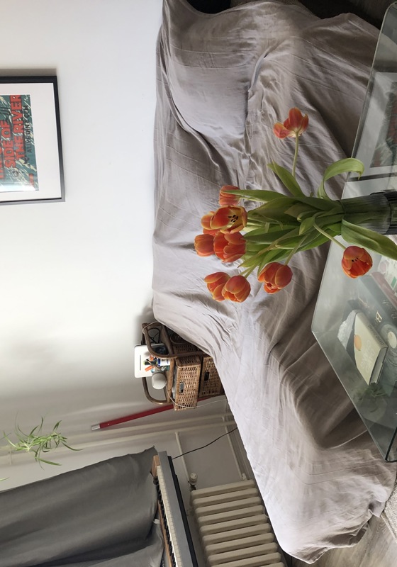 home swap in Berlin, Germany