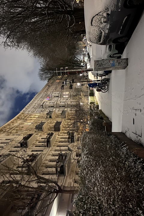 Oasis in the middle of the city – Cozy Altbau stud - 1