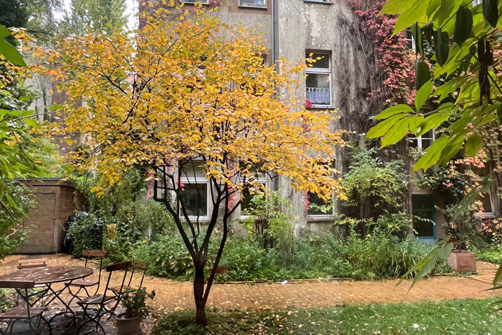 Oasis in the middle of the city – Cozy Altbau stud - 4