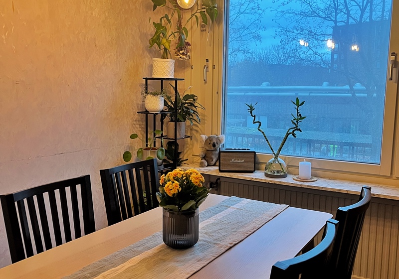 home swap in Stockholm, Sweden