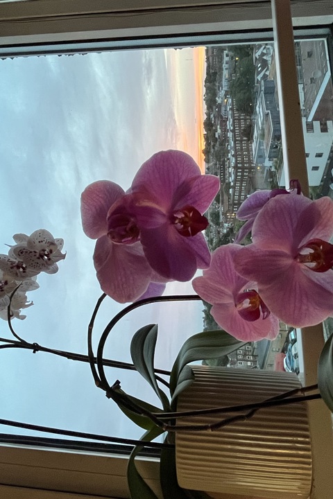 A nice bed in a sharing accommodation - 8