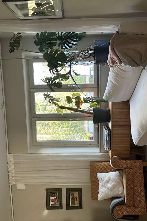 Family-friendly home with garden near beach - 3