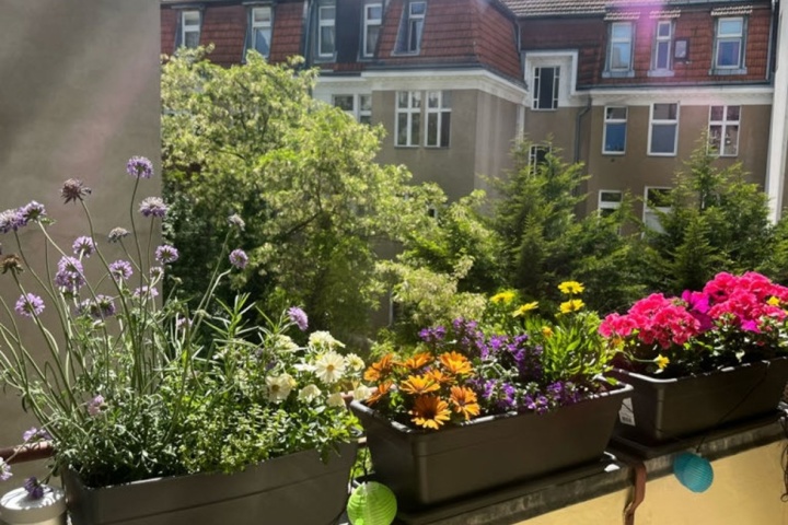 Cozy and central Apartment in Berlin Schöneberg - 1