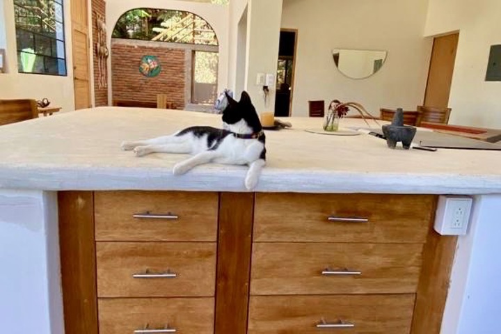 Home Retreat in the Jungle - 2