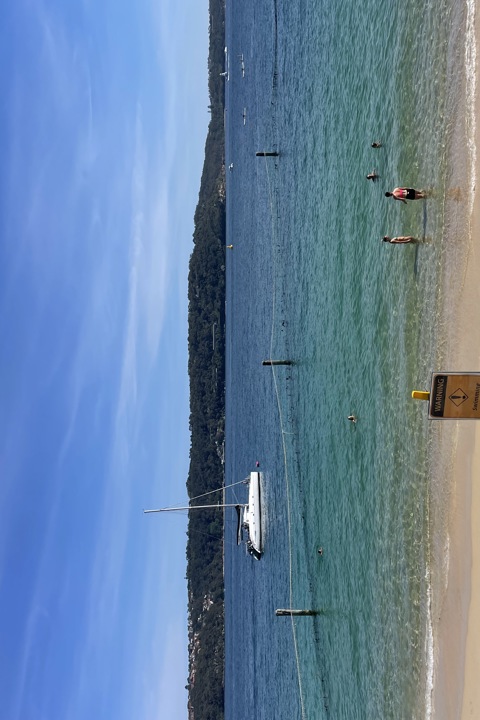 Our home is a warm, art-deco space in Vaucluse wit - 15