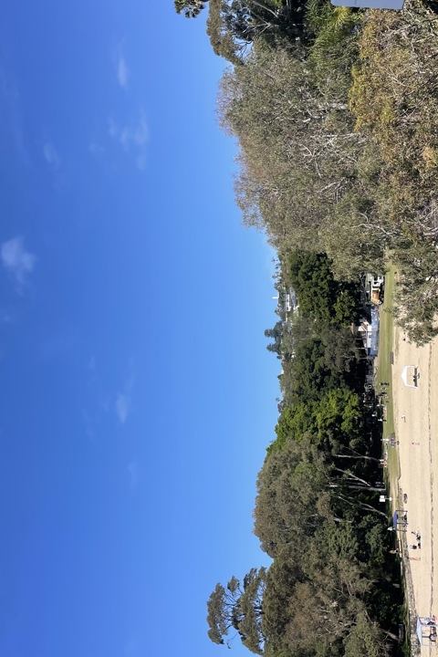 Our home is a warm, art-deco space in Vaucluse wit - 16