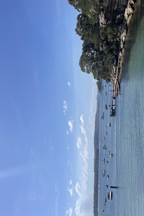 Our home is a warm, art-deco space in Vaucluse wit - 17