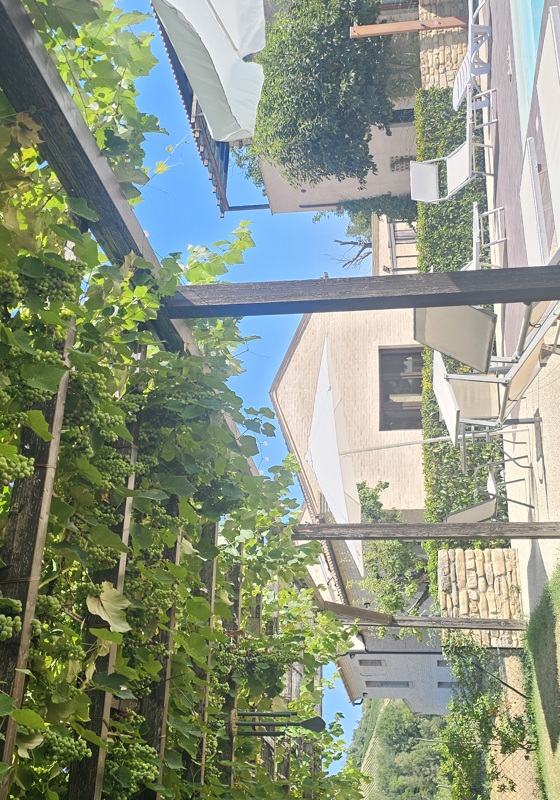 home swap in Montalto Delle Marche, Italy