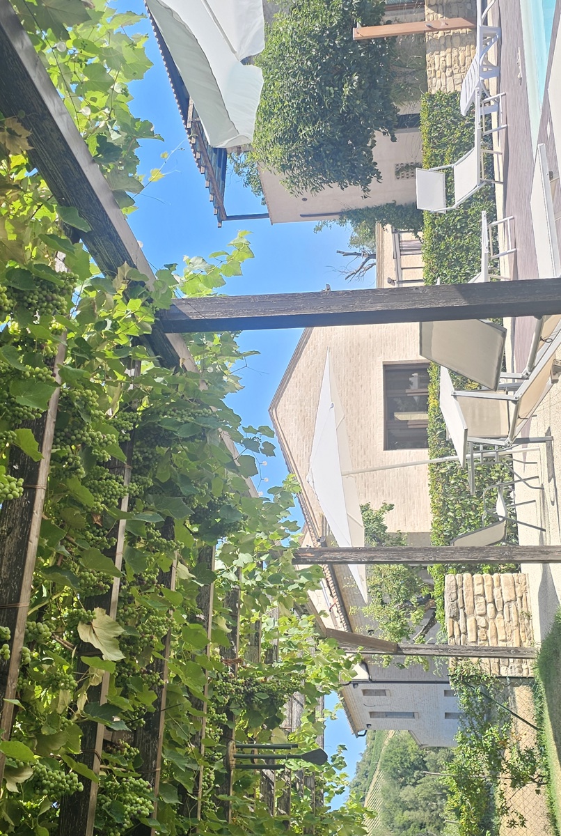 Nelle verdi colline del centro Italia