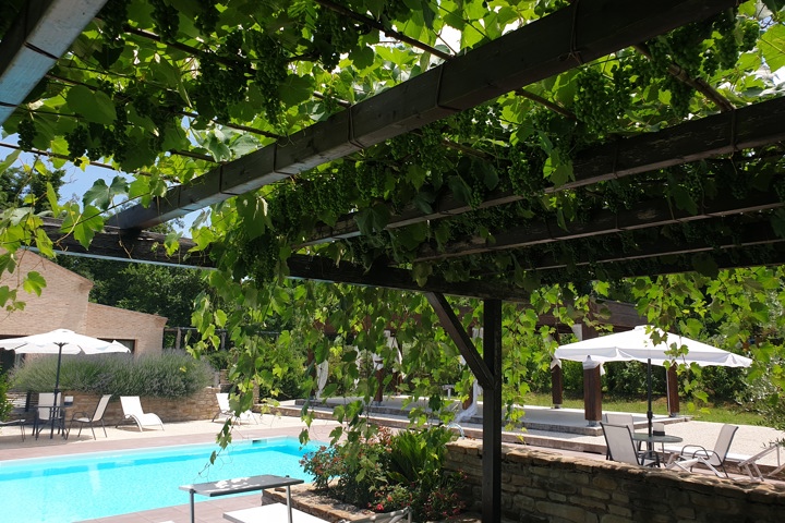 Nelle verdi colline del centro Italia - 8