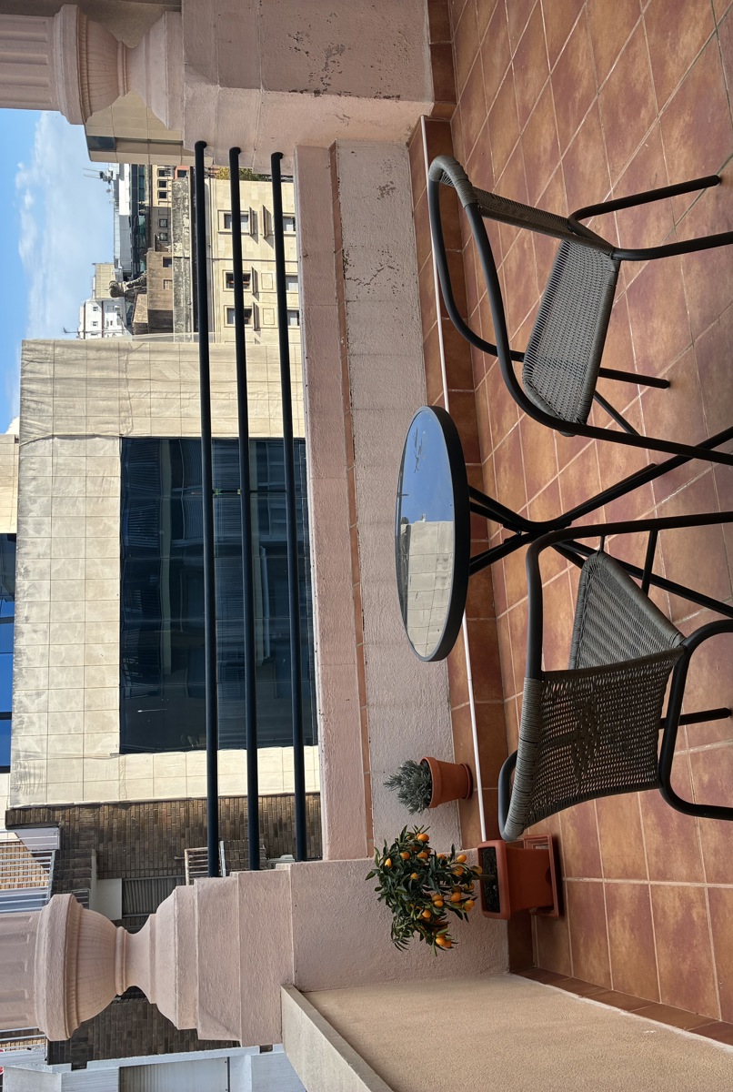 Spacious apartment in the city center