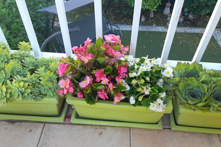 Dalmatian village apartment - 2