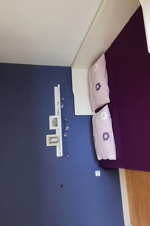 Dalmatian village apartment - 6