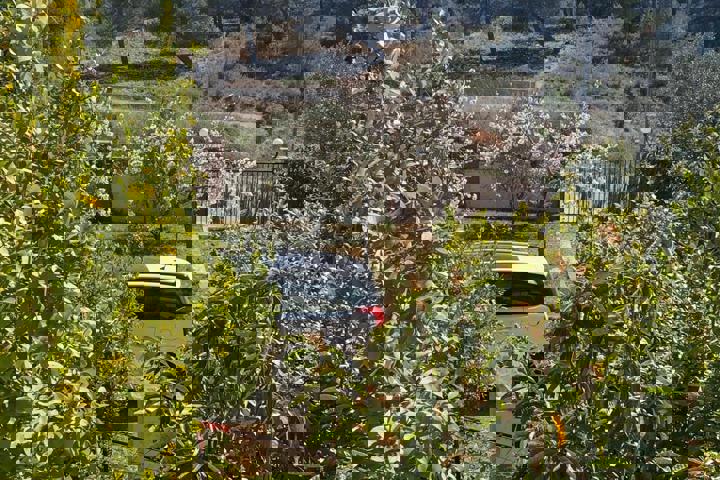 La Casa de Vinos (The house of Wines) - 8