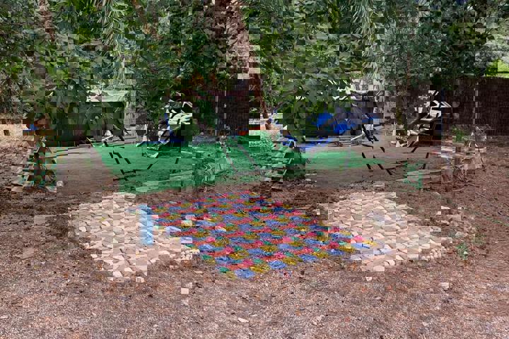 La Casa de Vinos (The house of Wines) - 7