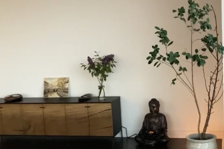 Luxury new apartments building with high ceiling - 3