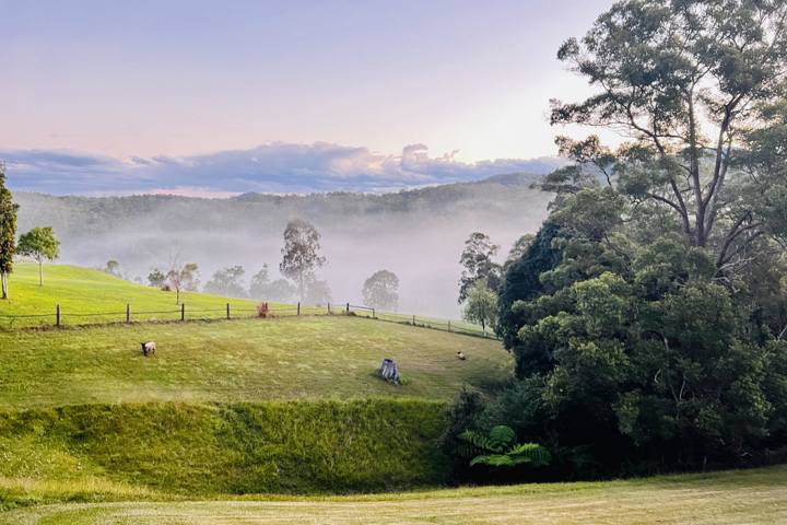 Country Retreat in Bellingen - 9