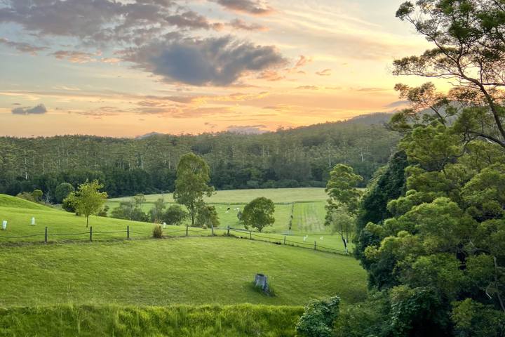 Country Retreat in Bellingen - 10