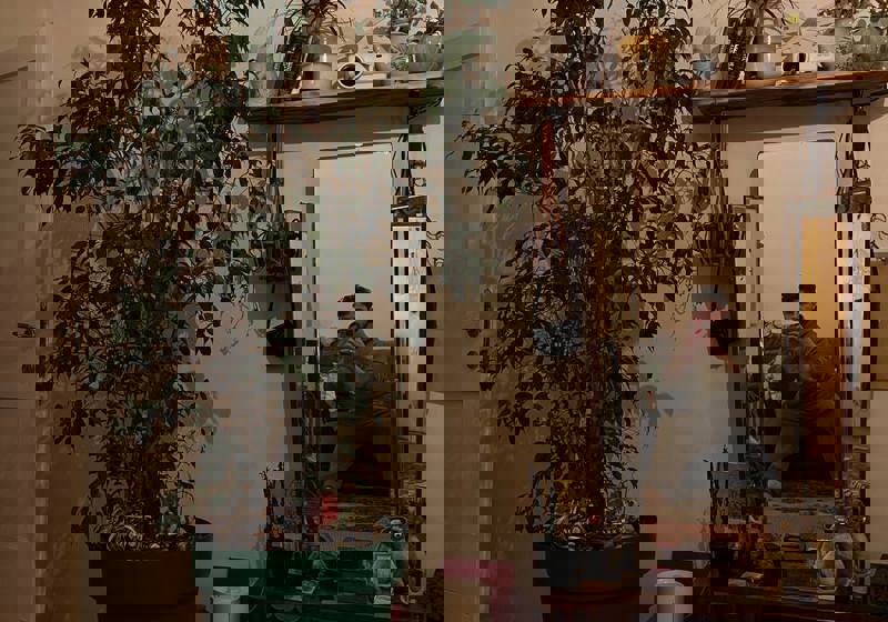 home swap in Belgrade, Serbia