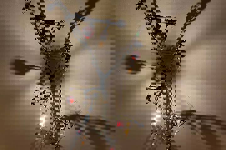 Soulful cozy & artsy home in the heart of Belgrade - 10