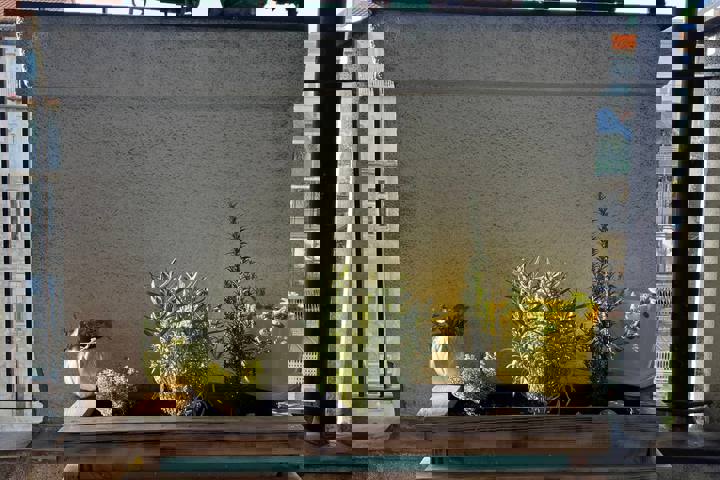 Soulful cozy & artsy home in the heart of Belgrade - 8