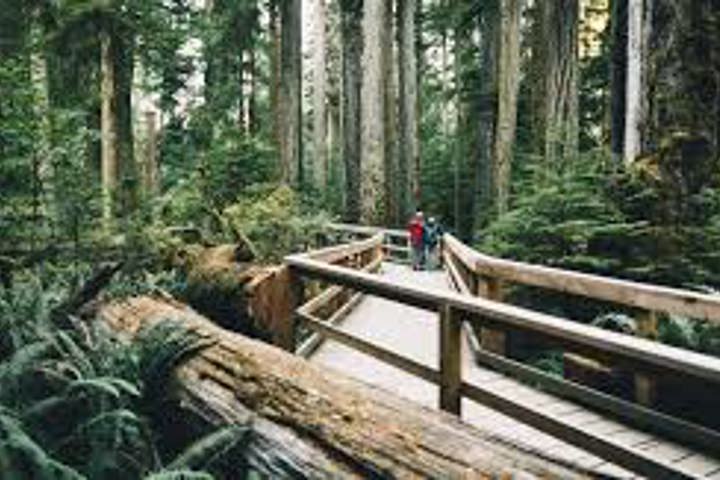 Bucket List Destination - 11