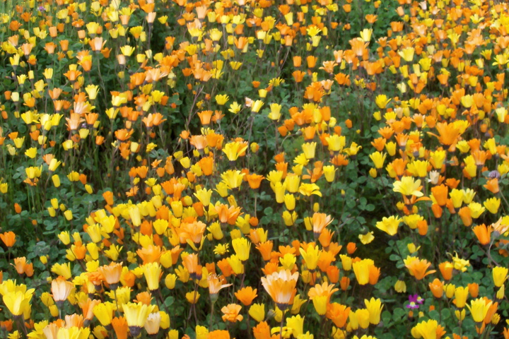 Bucket List Destination - 16