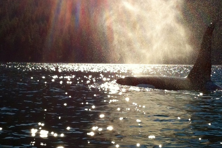 Bucket List Destination - 24