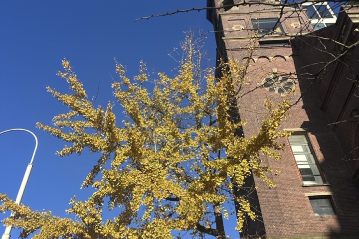 Apartment in Amsterdam, close to city center - 8