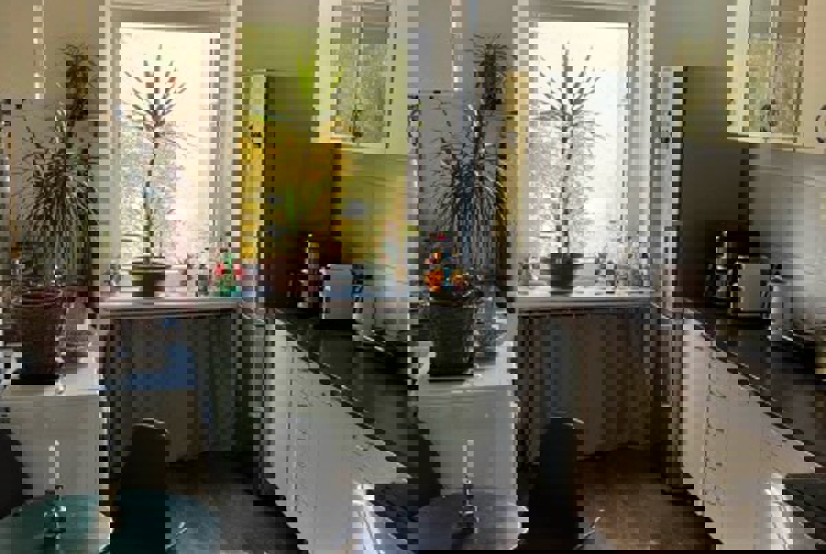 Cozy Flat in Charlottenburg