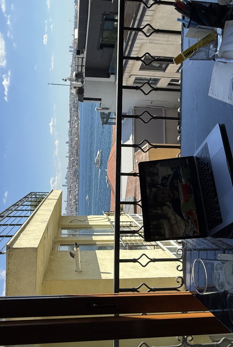 Bosporus View Apartment