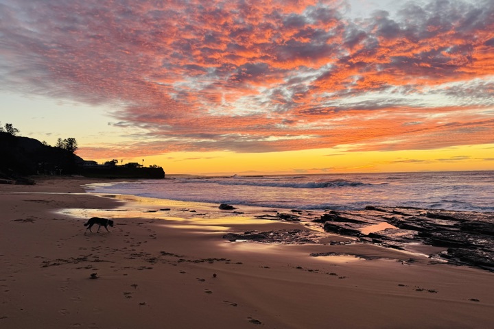 Home away from Home - 8