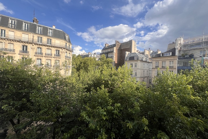 Wonderful appartment in center Paris, Bastille - 11