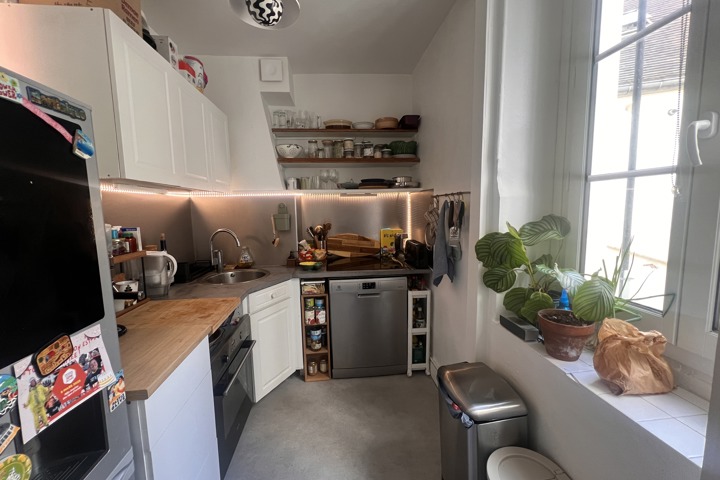 Wonderful appartment in center Paris, Bastille - 19