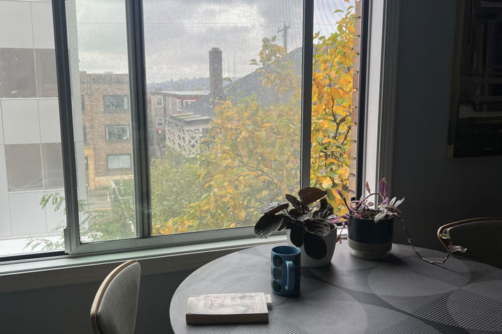 Fun Capitol Hill 1 Bedroom, Great Patio - 11