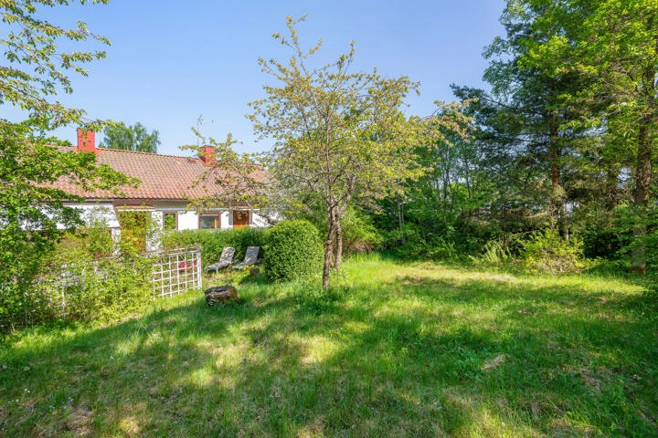 Big artist house and lovley garden - 12