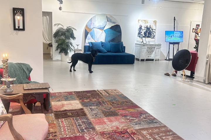 Big artist house and lovley garden - 18