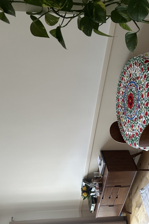 A cozy flat in Berlin green and charming area - 4
