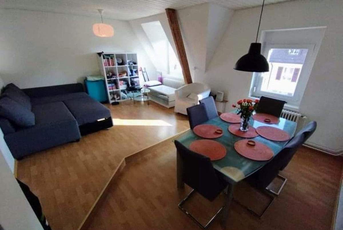 Apartment with large living room in Zurich